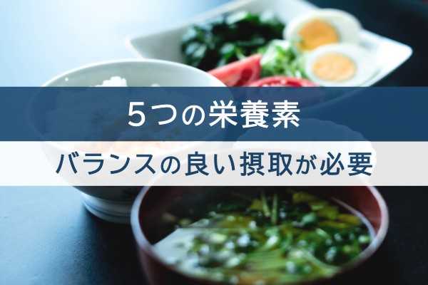 5つの栄養素。バランスのいい摂取が必要