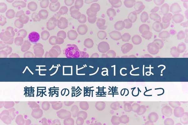 ヘモグロビンa1cとは？糖尿病の診断基準のひとつ