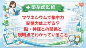 【薬剤師監修】マグネシウムで集中力・記憶力は上がる？脳・神経との関係と現時点でわかっていること