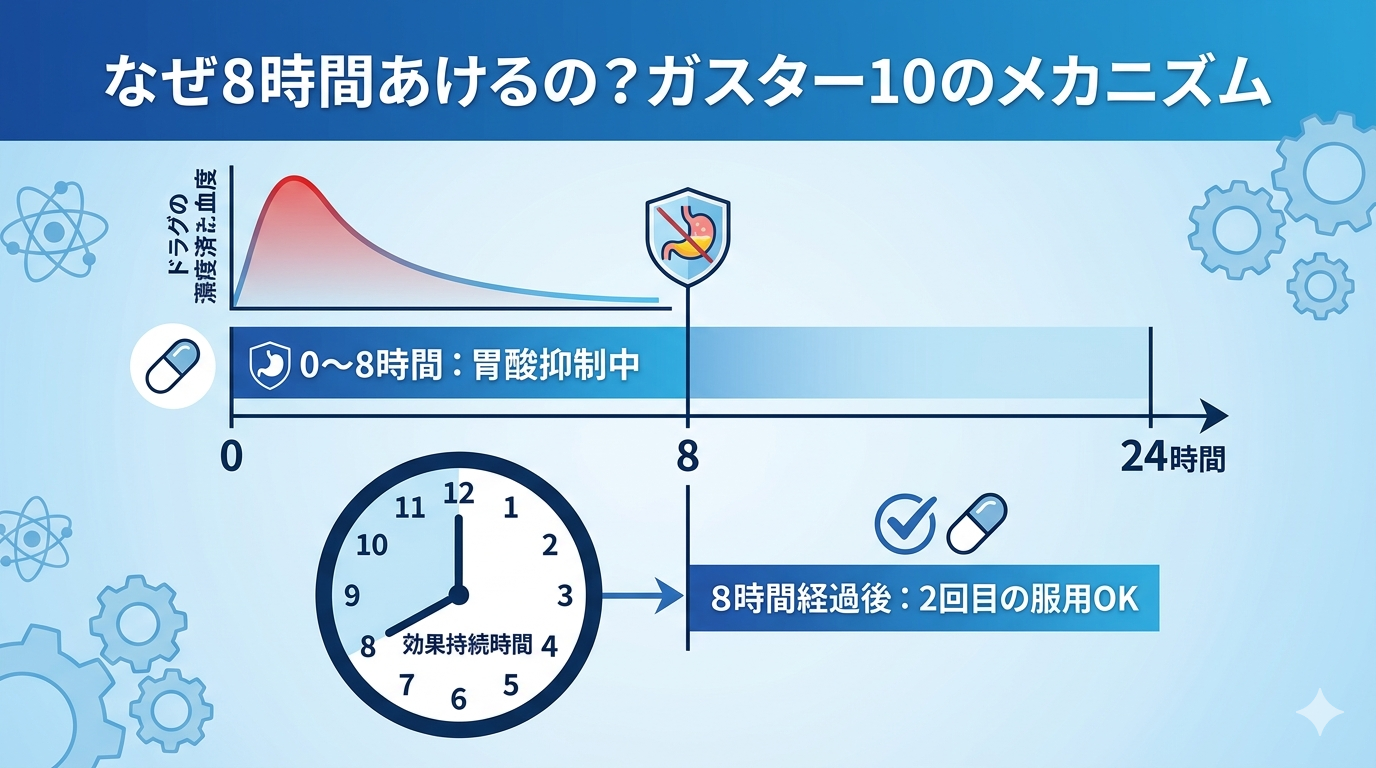 なぜガスター10は8時間あける必要があるのかを解説した図解。服用後0〜8時間は胃酸抑制効果が持続するため、8時間経過後に2回目の服用が可能であることをタイムラインで示している。
